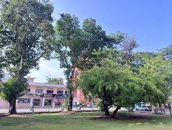 Lorong 9 Geylang (D14), Apartment #611255451